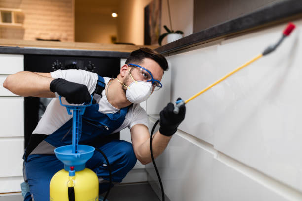 Best Cockroach Control Services  in Nederland, TX