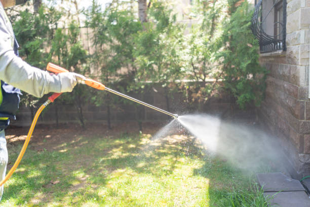 Best Affordable Pest Control Services  in Nederland, TX