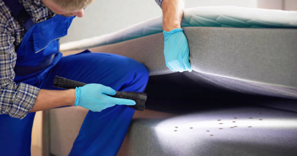 Best Wasp Removal Services  in Nederland, TX