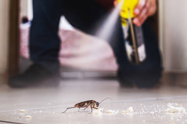 Best Wildlife Control Services  in Nederland, TX